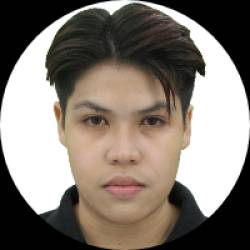 Information Technology Analyst