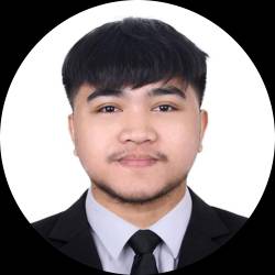 Electrical Engineer