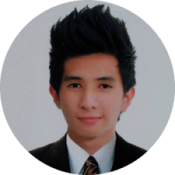 WEB DEVELOPER