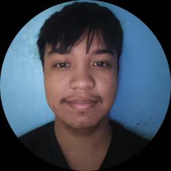 Virtual Assistant