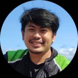 WordPress Developer