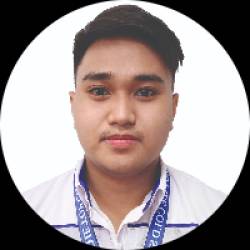 Junior System Engineer