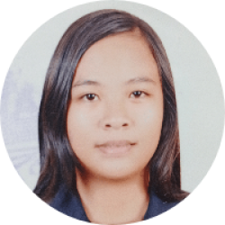 CIVIL ENGINEER