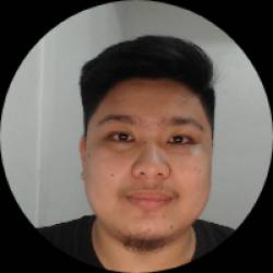 Fraud Analyst