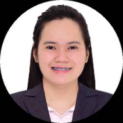 Licensed Civil Engineer