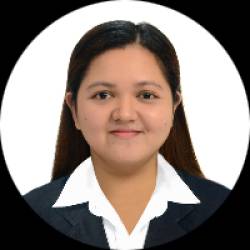 Accountant