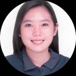 Technology Risk Consultant