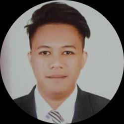 Web Designer