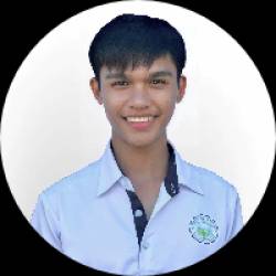 Virtual Assistant