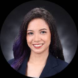 Multimedia Artist