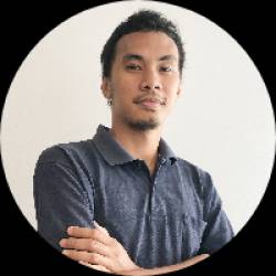 Software Developer