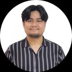 IT Professional with Development Experience