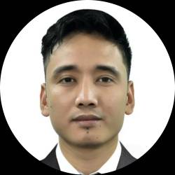 Cyber Security Consultant
