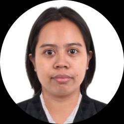 civil engineer