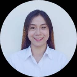 Travel Consultant