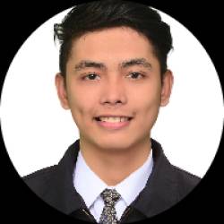 Software Developer
