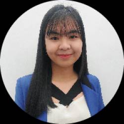 Communications and Project Management Support
