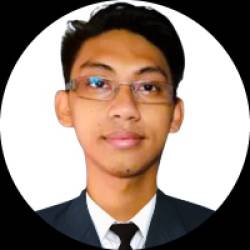 Professional news writer, feature writer and reasercher