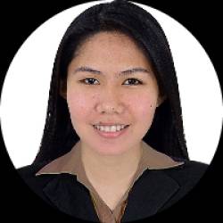 Civil Engineer