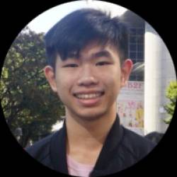 Software Architect