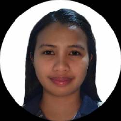 Electrical Engineer / Supervisor