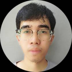 Dispute/Fraud/Chargeback Analyst