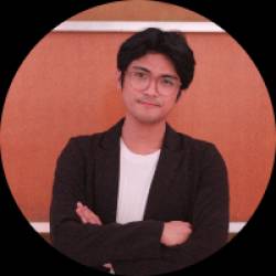 Data Analyst with python development skills