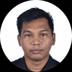 WordPress Developer