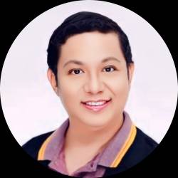 IT Professional
