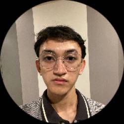 iOS Developer