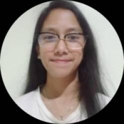 Software Developer