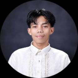 Web developer