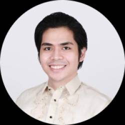 Litigation Lawyer