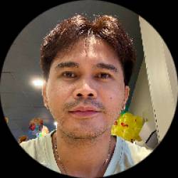 Network Analyst