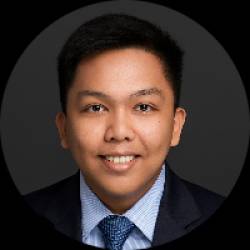 System Consultant