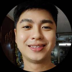 IT Senior Analyst