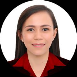 Civil Engineer