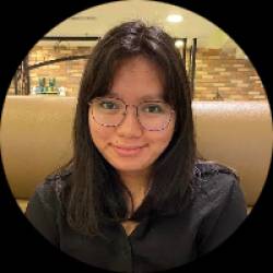 IT Project Manager/Scrum Master