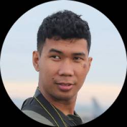 Freelancer