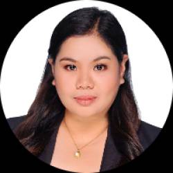 Licensed Civil Engineer