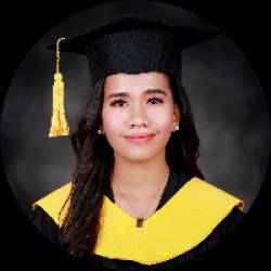 Accountant and Financial Analyst