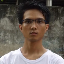 Graphic / Website Designer
