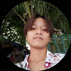 Vitrual Assistant