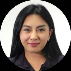Project Manager