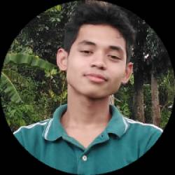 Chat support specialist