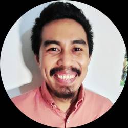 Data Analyst