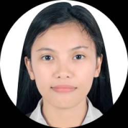 Civil Engineer