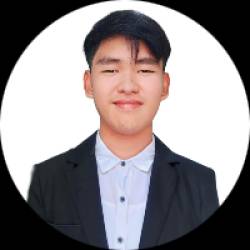 Software Developer
