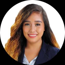Virtual Assistant (IT & Project Management)