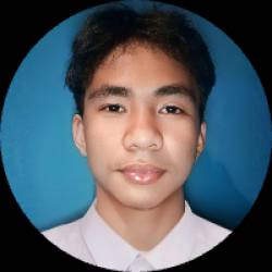Social Media Manager